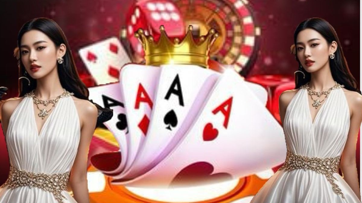 bd333 bet